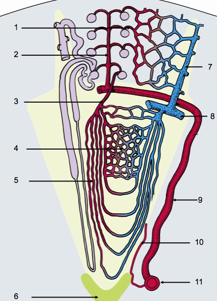 Image_10.jpg